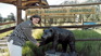 Joannas Bear