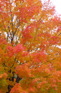 Still more color