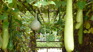 Arbor 2