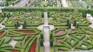Chateau Villandry 4