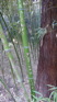 Bei Hei park graffiti.JPG