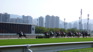 HK Sha Tin.JPG