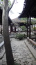 Suzhou Master of the Nets.JPG